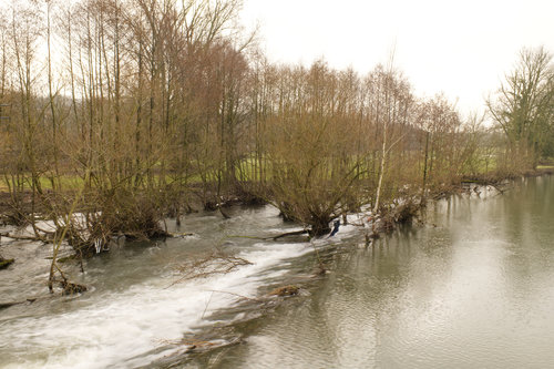 Mülheim Wehr Büsche II.jpg