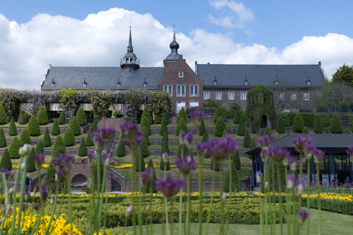 Kloster Kamp durch Kornblume.jpg