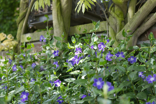 Kloster Kamp Garten 2.jpg