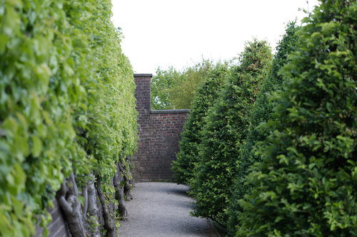 Kloster Kamp Garten 5.jpg