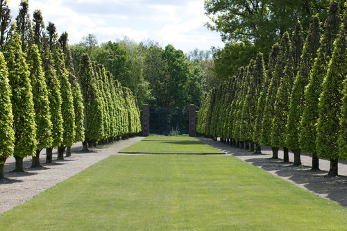 Kloster Kamp Garten 6.jpg