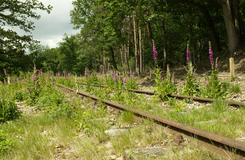 Tracks lost in Time I.jpg