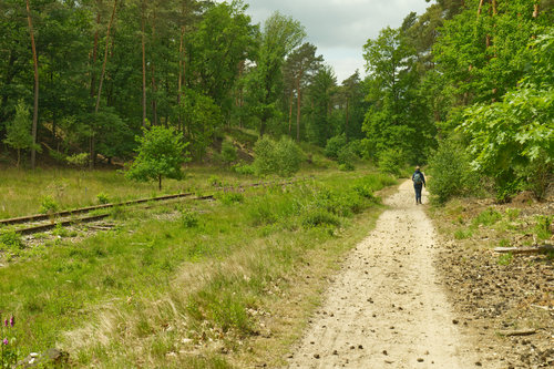 Tracks lost in Time II.jpg