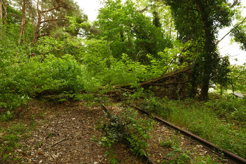 Tracks lost in Time V.jpg