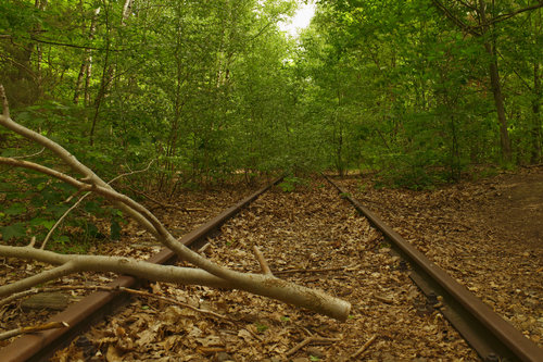 Tracks lost in Time VI - Cut.jpg