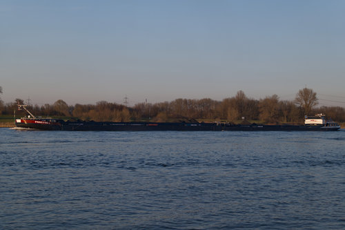 Rheinschifffahrt Procyon II fährt in den Sonnenuntergang.jpg